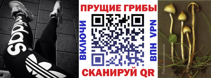 Галлюциногенные грибы мухоморы  Губкин 
