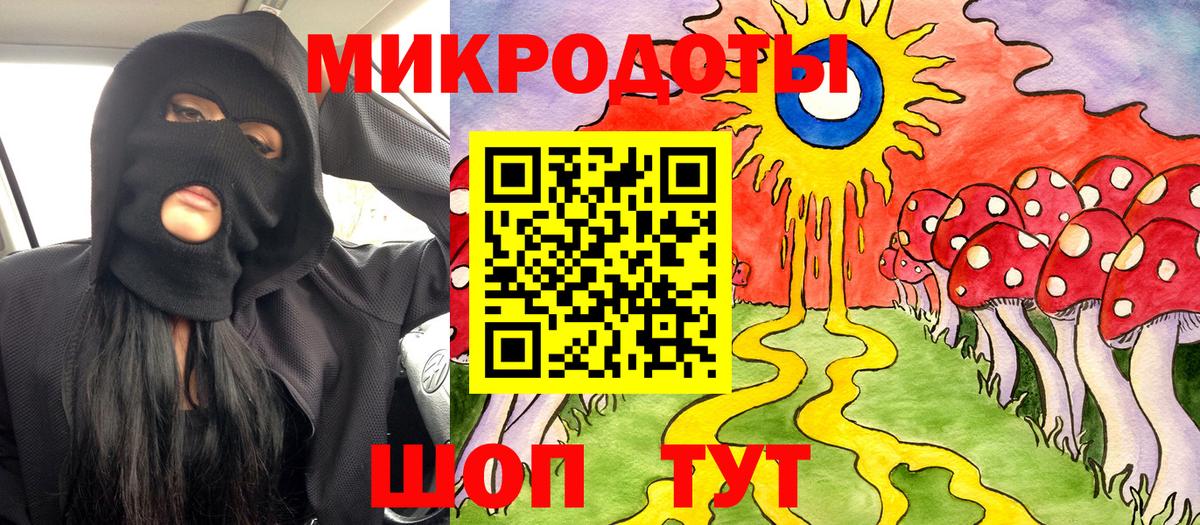 Псилоцибиновые грибы мухоморы  Губкин  Псилоцибиновые грибы мицелий 