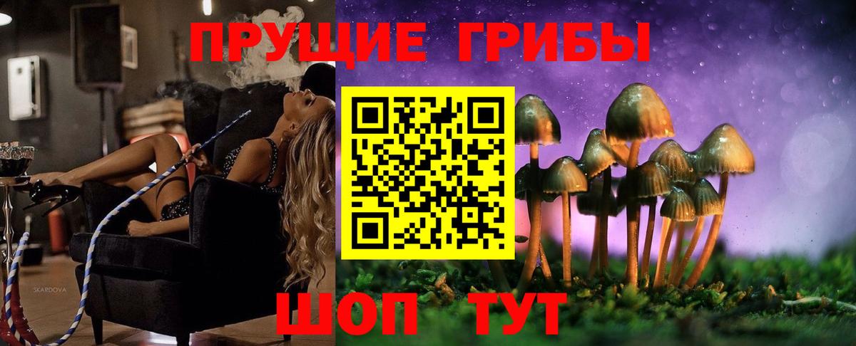 Губкин  Галлюциногенные грибы GOLDEN TEACHER  Вход с VPN 