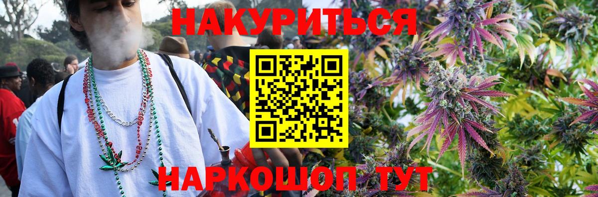 Губкин  Бошки марихуана сатива  Вход с VPN  Шишки марихуана Amnesia 