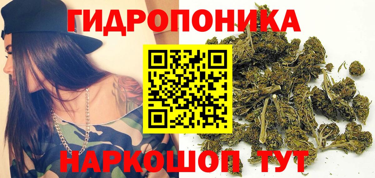 Марихуана план Губкин